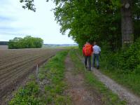  Blick auf die Wanderstrecke 