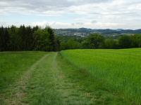  Blick auf die Wanderstrecke 