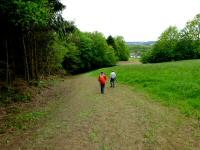  Blick auf die Wanderstrecke zur L97 