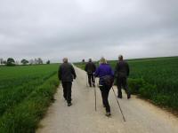 Blick auf die Wanderstrecke westlich von Mold 