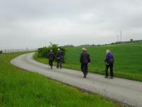 Wanderroute auf dem Begleitweg der Horner Bundestrae - B4 