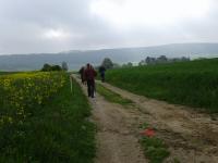  Blick auf die Wanderstrecke auf dem Reutberg 