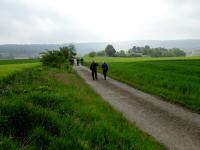  Blick auf die Wanderstrecke nach Mold 