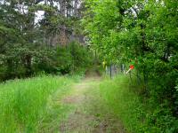  Wanderroute auf dem Molder Berg 