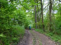  Wanderroute auf dem Molder Berg 