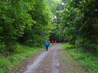  Wanderroute auf dem Molder Berg 