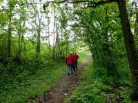 Wanderroute auf dem Molder Berg nach Maria Dreieichen