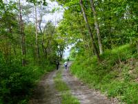  Blick auf die Wanderstrecke 