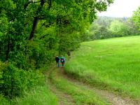  Blick auf die Wanderstrecke 