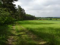  Blick auf die Wanderstrecke 