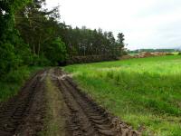  Blick auf die Wanderstrecke 