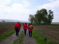 Blick auf die Wanderstrecke durch die Riede Teichcker