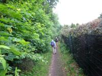  Wanderroute ber die Rudolf Schwarz Promenade 