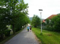 Blick auf die Wanderstrecke in Weissenbach bei Mdling