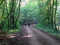  Blick auf die Wanderstrecke durch den Naturpark  