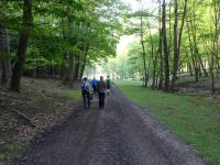  Blick auf die Wanderstrecke durch den Naturpark 