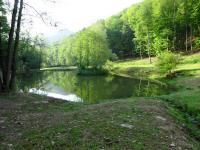  Blick auf einen Teich bei der "Langen Wiese"