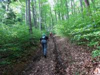 Wanderroute durch die Riede Mhlparz Richtung Gaaden