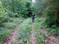 Wanderroute durch die Riede Mhlparz Richtung Gaaden