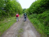 Wanderroute am sdlichen Rande der groen Riede Mhlparz 