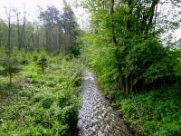  Blick auf dem Mdling-Bach 