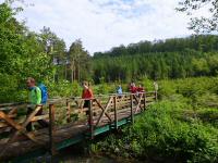 Blick zum Steg ber den Mdling-Bach 