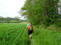  Wanderroute entlang des Marbachs 