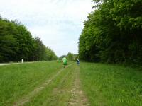 Wanderroute entlang der Heiligenkreuzer Strae - B11 