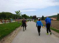  Wanderroute in Fllenberg 