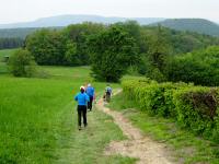  Wanderroute in Fllenberg 