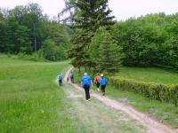  Wanderroute in Fllenberg 