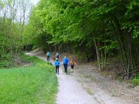 Wanderroute zur A21 der Wiener Auenring Autobahn 