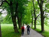  Wanderroute nach Heiligenkreuz 