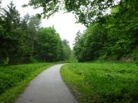 Blick auf die Wanderstrecke im Tal des Sattelbachs 