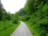 Blick auf die Wanderstrecke im Tal des Sattelbachs 