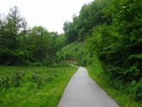 Blick auf die Wanderstrecke im Tal des Sattelbachs 