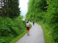 Blick auf die Wanderstrecke im Tal des Sattelbachs 