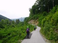 Blick auf die Wanderstrecke im Tal des Sattelbachs 