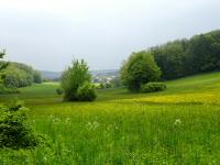  Fernblick nach Siegenfeld 