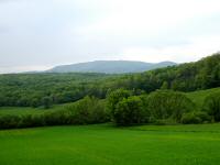  Fernblick zum "Hoher Lindkogel"  