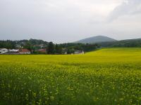  Blick nach Siegenfeld und zum Badner Lindkogel 