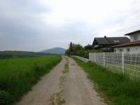  Blick auf die Wanderstrecke bei Siegenfeld 