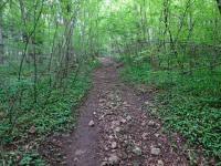  Wanderroute auf dem Mitterberg 