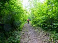  Wanderroute auf dem Mitterberg 