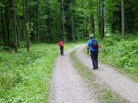  Wanderroute auf dem Mitterberg 