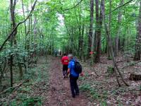  Wanderroute auf dem Mitterberg 