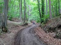  Wanderroute bergan durch das Groe Kiental 