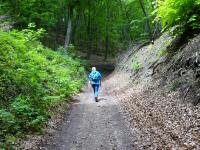  Wanderroute bergan durch das Groe Kiental 