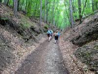  Wanderroute bergan durch das Groe Kiental 