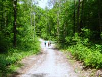  Wanderroute zum Anninger Schutzhaus 